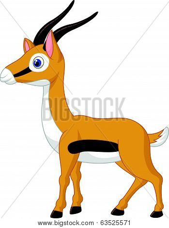 Cute gazelle cartoon