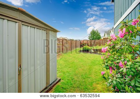 Backyard View