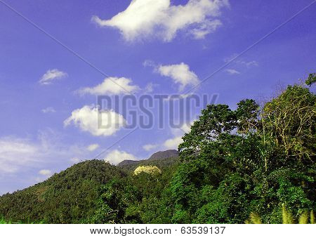 Mountain landscape in a sunny day