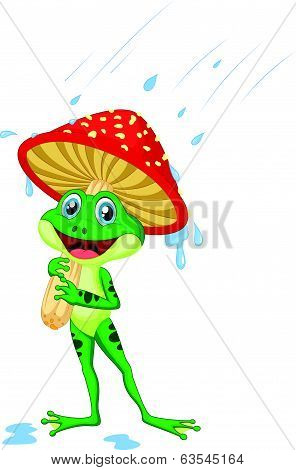 Cute frog cartoon wearing rain gear under mushroom