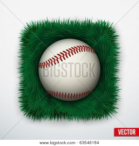Icon Baseball ball in green grass. Vector.