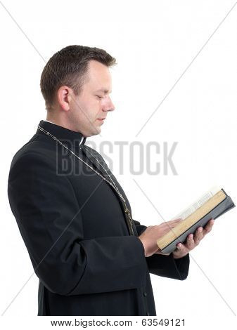 Catholic priest reading the Holy Bible shot on white