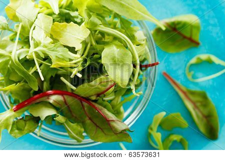 fresh salad