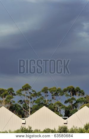 The Warehouse In The Forest