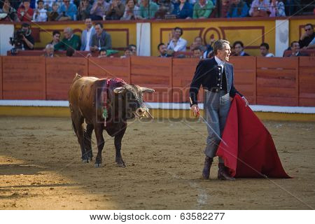 Torero And Bull In Bullfight