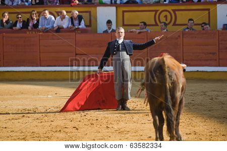 Calling The Bull