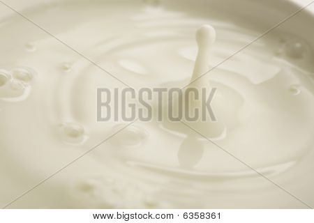 Milch
