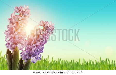 Easter Background