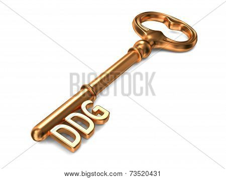 DDG - Golden Key on White Background.