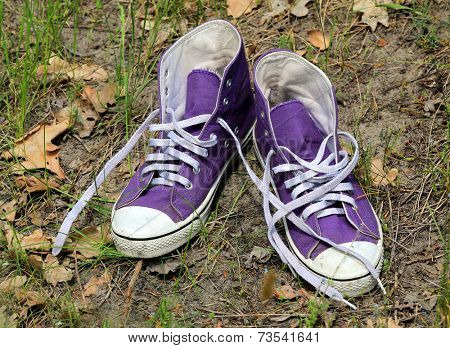 pair of gymshoes on soil in forest 