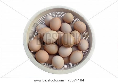 Eggs