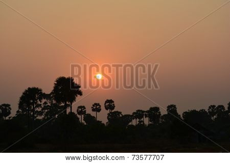 The sunset on the orange sky