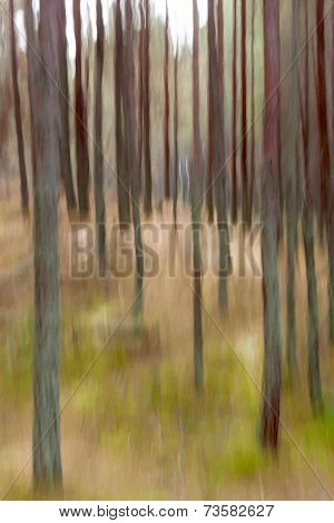 vector forest blur abstract background
