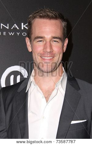 LOS ANGELES - OCT 8:  James VanDerBeek at the 5th Annual PSLA Autumn Party at 3LABS on October 8, 2014 in Culver City, CA