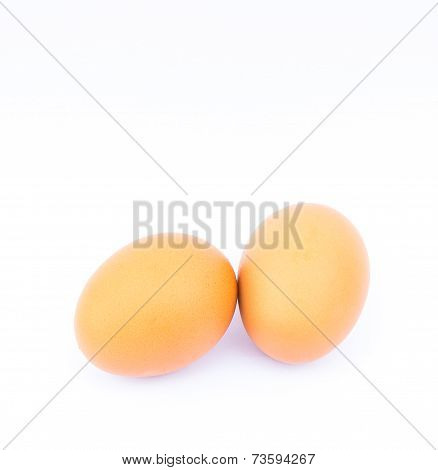 Fresh Egg On White Background