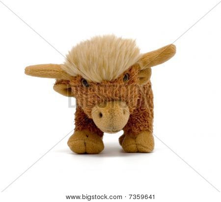 Taurus
