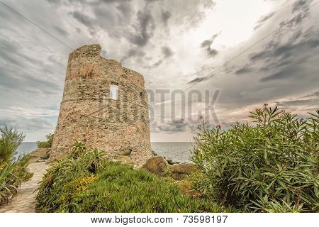Genoese Tower At Erbalunga On Cap Corse In Corsica