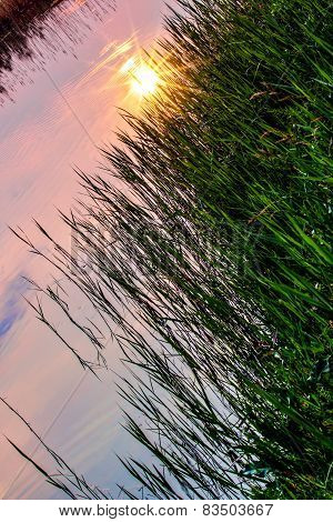 Sun Reflection