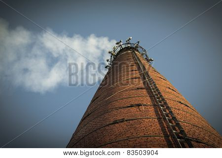 Tube Boiler
