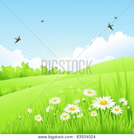 Clean spring amazing scenery. Vector illustration
