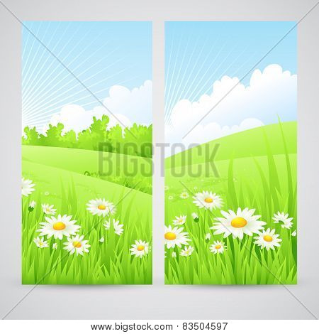 Clean spring amazing scenery. Vector illustration