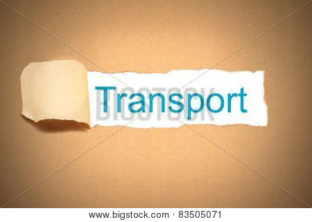 Brown Paper Torn To Reveal Transport