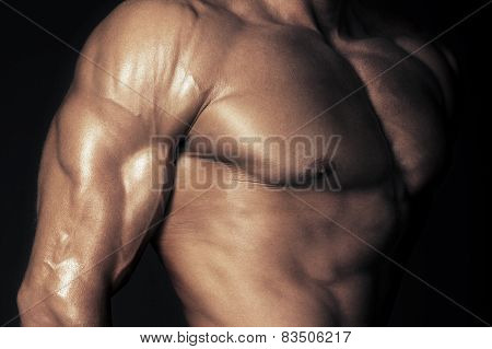 Body Of Muscular Man