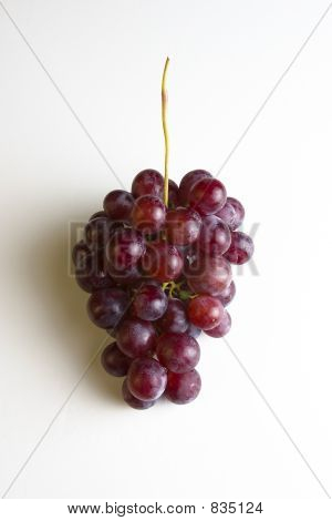 Trauben und Wein