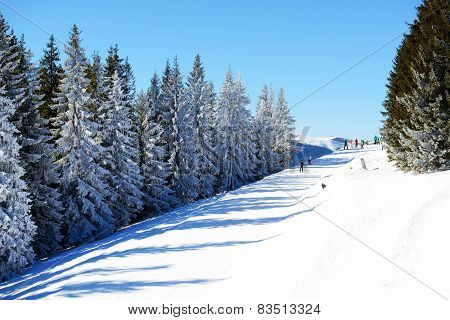 BUKOVEL, UKRAINE - FEBRUARY 17: The skiers are on a slope in Bukovel. It is the largest ski resort i