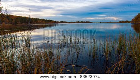 Forest Lake Before Dawn