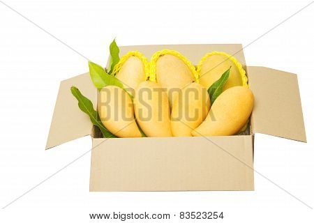 Ripped Mangoes In A Paper Box Ready To Export.