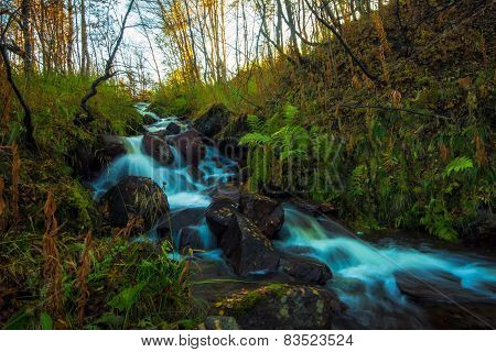 Waterfall In Autumn Forest