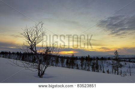 Sunset in the tundra
