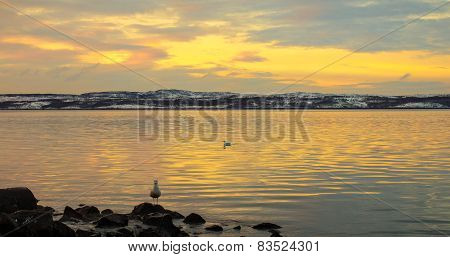 Bay Of The North Sea