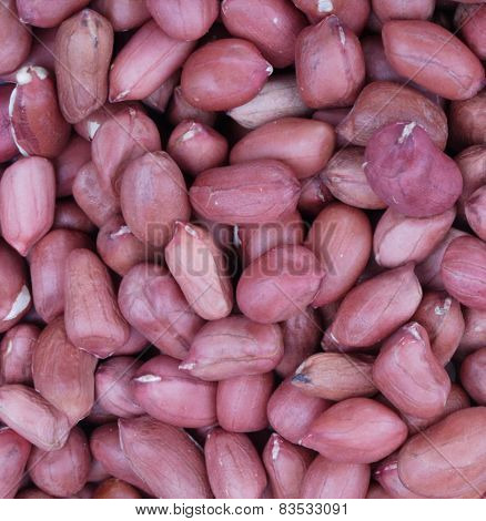Arachis Background