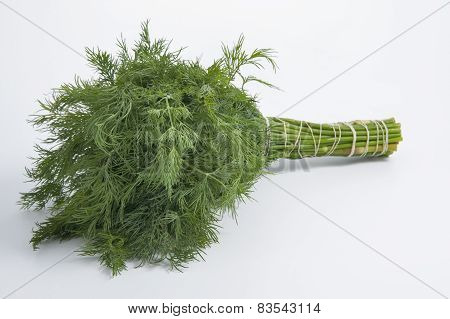 Bunch Of Dill On A Light Background.