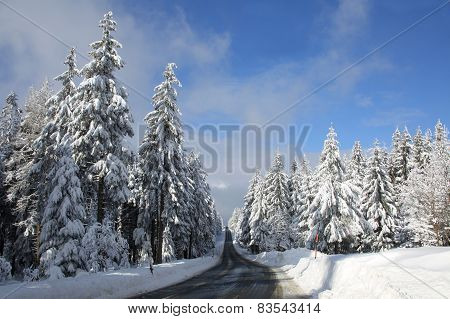 street in winter