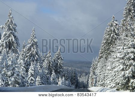 winter