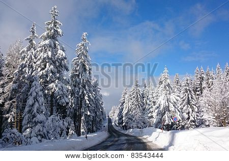 street in winter