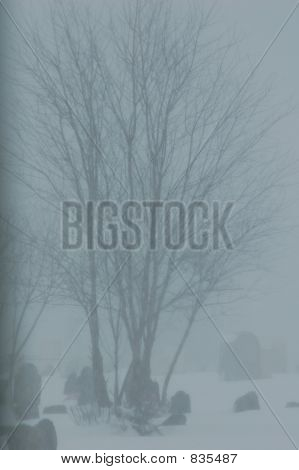 Cimitero di Blizzard