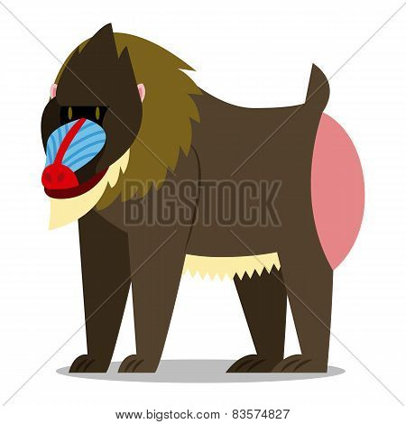 Vector Cartoon Mandrill Isolated On Blank Background