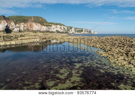 Thornwick Bay