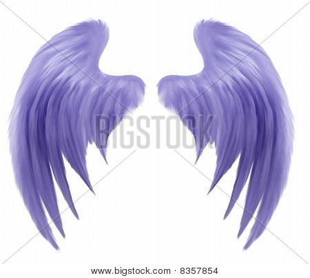 Indigo Wings