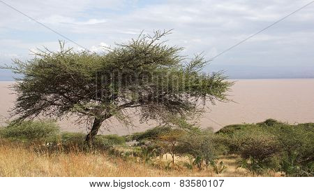 Langano Lake, Ethiopia, Africa