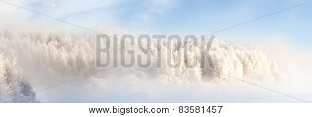 Winter landscape, captured in Finland 3x1 Ratio