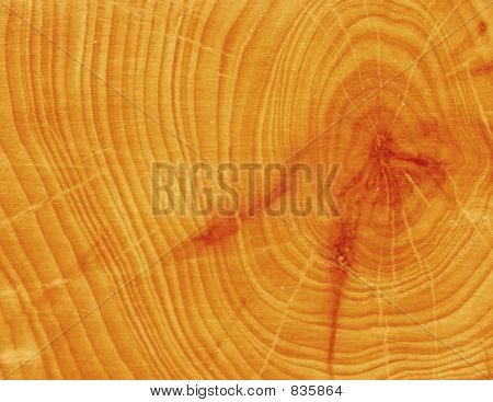 Tree rings