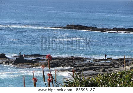 Laguna Ocean View of Tidepools