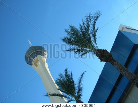 Turm und Palmen