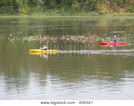 2Kayaks