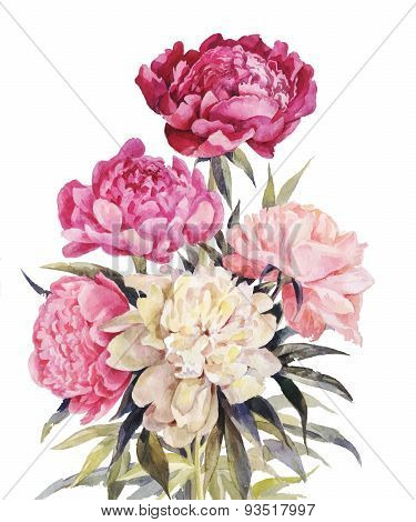 Bouquet Of Peonies Watercolor.iillustration For Vintage Greeting Card